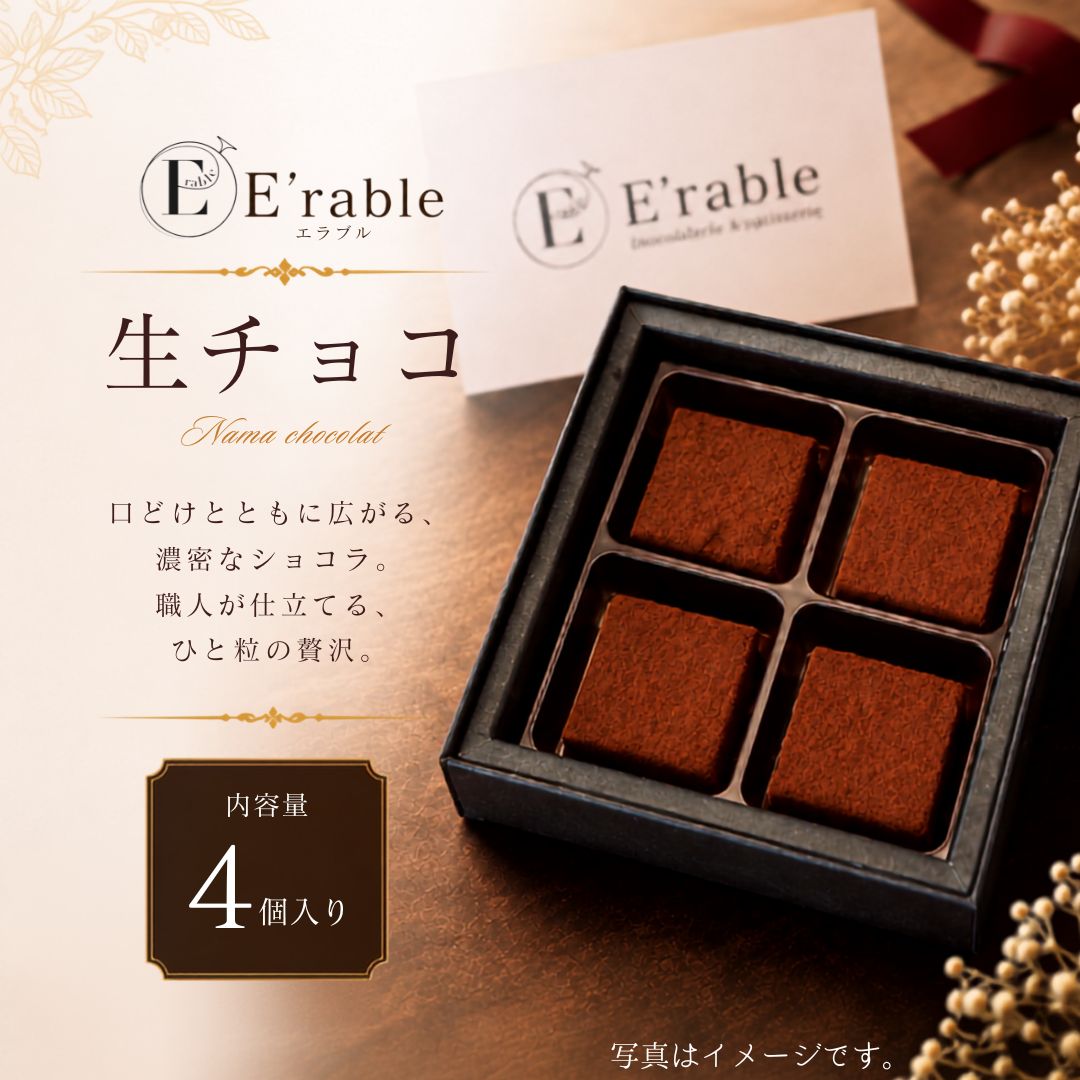 【ふるさと納税】 生チョコ 4個入り チョコ チョコレート ショコラ スイーツ バレンタイン ホワイトデー ギフト 贈答 プレゼント スイーツ 洋菓子 おやつ ご褒美 お取り寄せ 石川県 小松市 エラブル gf004n00 【E'rable ショコラトリー パティスリー】