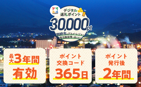 LOCOPAYデジタル返礼ポイント【30,000ポイント】_B167-004