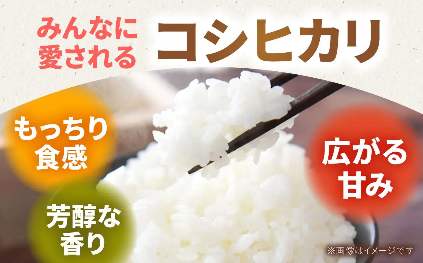 【先行予約　2026年8月～発送】令和8年産 特別栽培米！コシヒカリ10kg / お米 [IAS002]