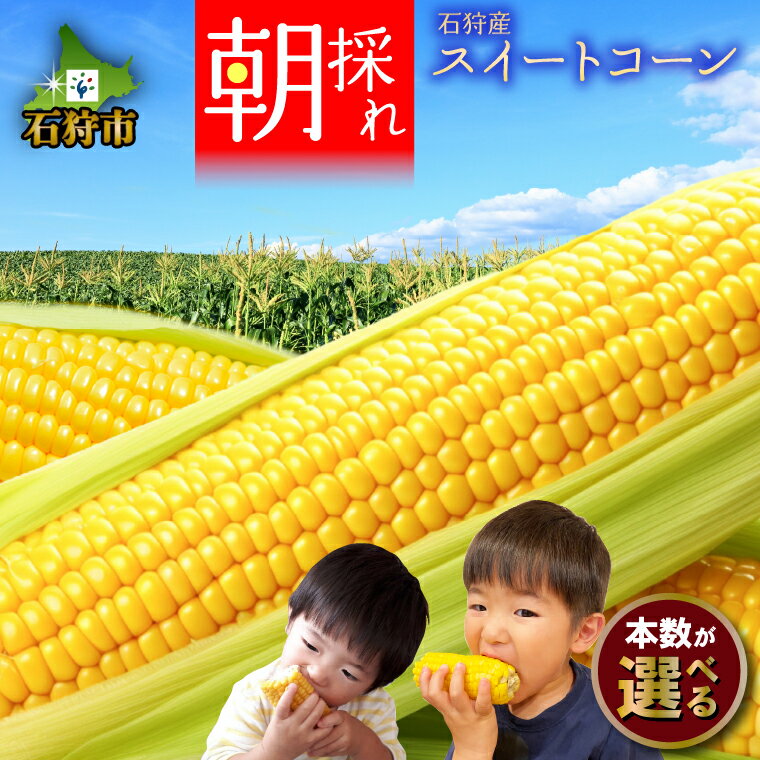 【ふるさと納税】《レビューキャンペーン》北海道 とうもろこし トウモロコシ　北海道石狩産 スイートコーン「恵味ゴールド」(6本)(4kg(約9〜12本)　北海道産 石狩市 とうきび フルーツ 恵ゴールド 旬品種 甘い イエロー 黄色 4.0kg 4キロ 4kg 美味しい