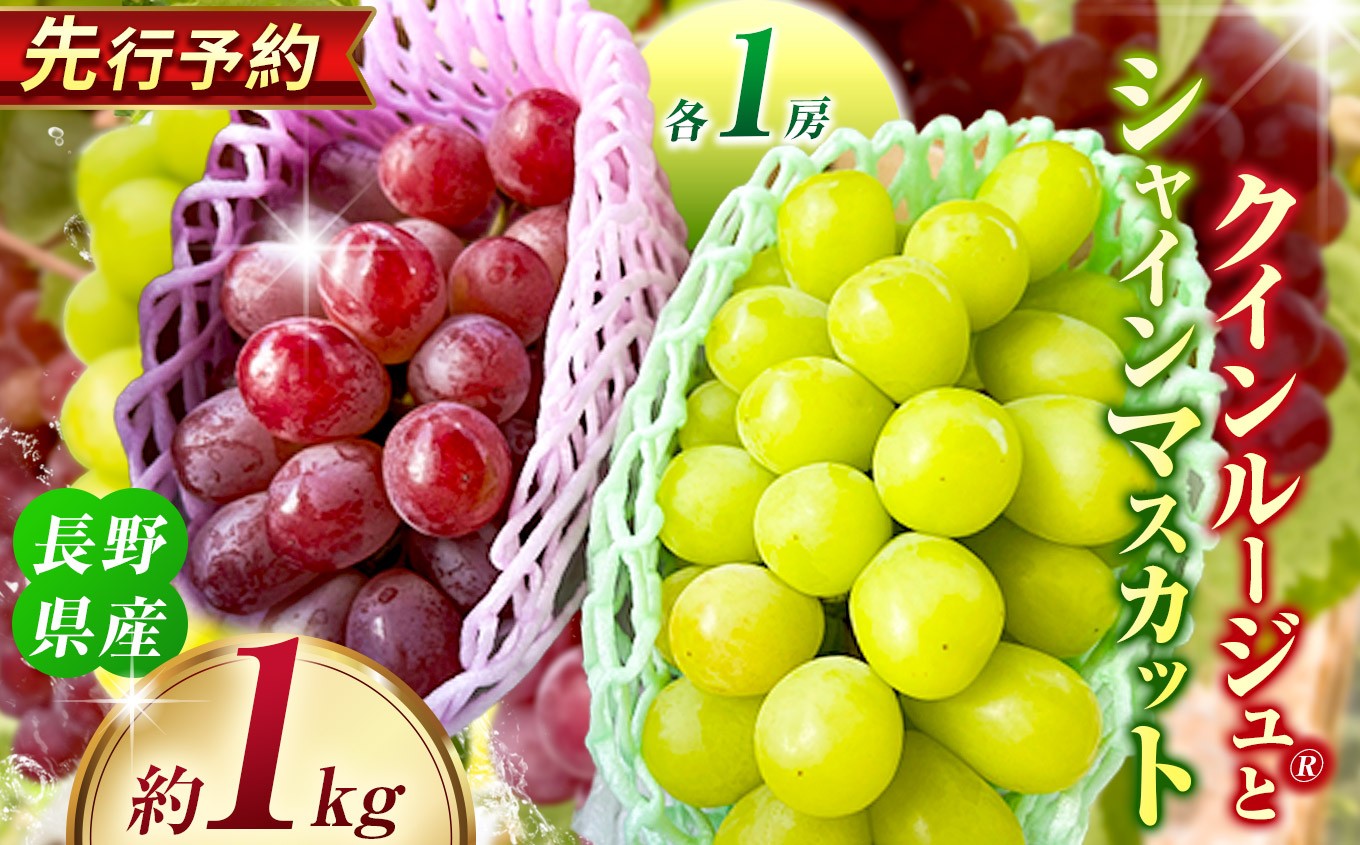 
                  クインルージュ® と シャインマスカット 各1房 約1kg 【2026年先行予約】 | ヤマモ農園 果物 ぶどう 葡萄 シャインマスカット クインルージュ フルーツ デザート 食後 おやつ 果汁 皮ごと 日本産 国産 産地直送 長野県 松川村 信州
                