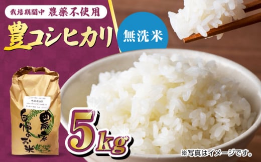 【11月以降順次発送】栽培期間中農薬不使用 令和6年産 新米 豊コシヒカリ 精米 無洗米 5kg /鶴ノ原北川農園 [UDL018] 白米 米 お米 こめ 白米 精米 ブランド米