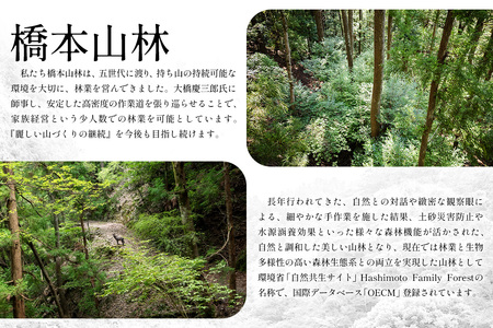 【橋本山林】一日一組限定ツアー（1～9月）1名様 【徳島県 那賀町 ツアー イベント 現地体験型 体験 旅行 グループ 限定 仲間 社員研修 環境学習】NM-11