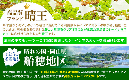 高級 シャインマスカット 2ヶ月 定期便【先行予約】ぶどう 晴王 岡山県産 2房1.2kg×2ヶ月 計2.4kg《9月上旬-10月末頃出荷(土日祝除く)》 ハレノフルーツ マスカット 送料無料 岡山県