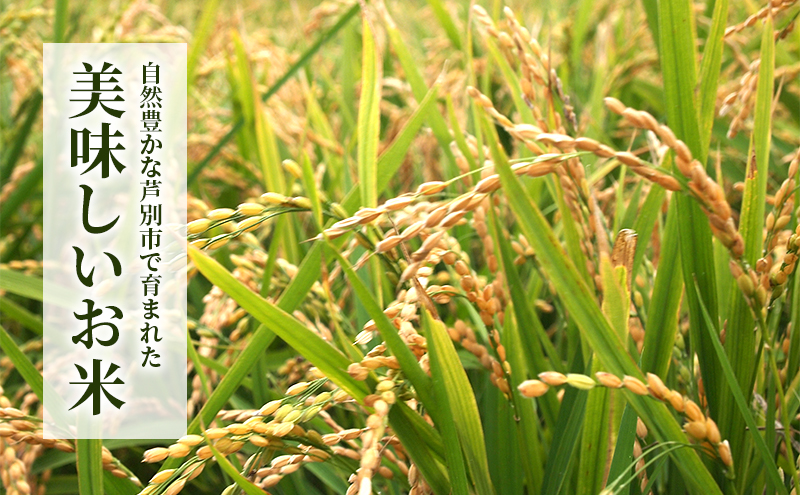 米 令和6年産 ななつぼし 10kg 5kg×2袋 宮田農園 精米 白米 お米 おこめ コメ ご飯 ごはん バランス 甘み おにぎり お弁当 酢飯 冷めてもおいしい 北海道米 北海道 芦別市