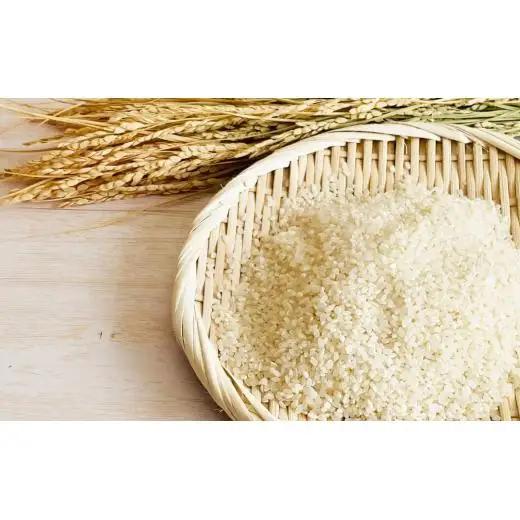 《 令和7年産 》黒米・塩米（コシヒカリ）約10kg ／ お米 米 精米 白米 コシヒカリ こしひかり 10kg 令和7年 千葉県
