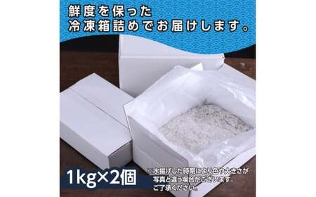 訳あり 釜揚げシラス 1kg × 2個 高知県産 【しらす】
