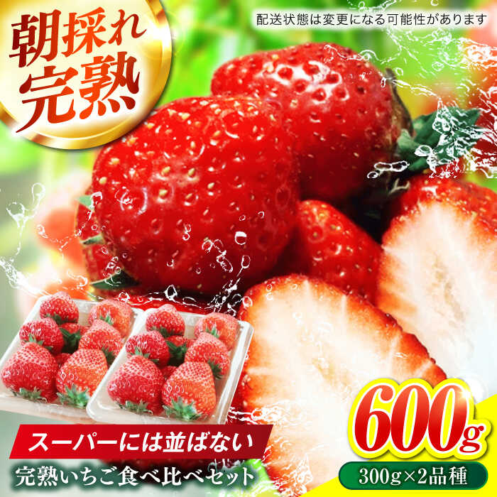 【ふるさと納税】岐阜県産 いちご 食べ比べ セット 完熟 苺 おいしい 岐阜市 / セイントベリー[ANFX001]