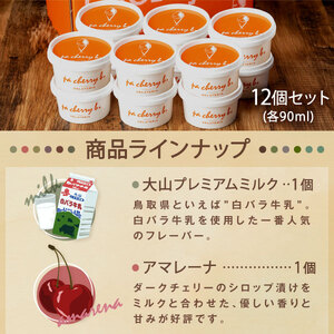 PC-05 pa cherry b.サマーセレクション12種12個セット