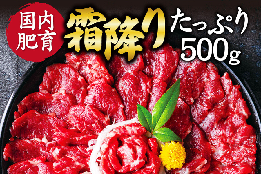 
                  【ふるさと納税】 熊本馬刺し 霜降りたっぷり500g （50g×10パック） 専用醤油付き
                