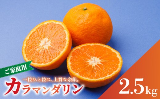 【2027年4月中旬から順次発送】南津海・カラマンダリン 2.5㎏ サイズ混合 家庭用 B品 | 柑橘 松山市産ミカン みかん 果物 くだもの ミカン 蜜柑 フルーツ おすすめ 小玉みかん お取り寄せみかん 期間限定 数量限定 ご当地 愛媛県 松山市 蓮果園
