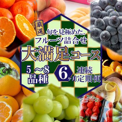 ふるさと納税 高松市 【毎月定期便】旬を見極めた厳選フルーツ詰合せ【大満足コース】(5〜8品種)全6回