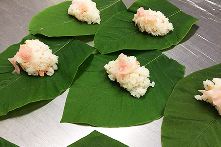 予約受付【期間限定】飛騨の初夏の味！あねかえしと朴葉寿司のセット （2025年6月初旬～6月下旬頃まで発送）（あねかえし 5個×2パック・朴葉寿司 10個入）のうさん糀村【87-4】よもぎ お菓子 ヨ