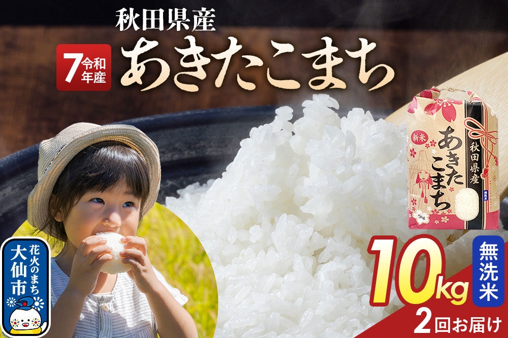 
                  《定期便2ヶ月》【無洗米】あきたこまち 10kg（5kg×2） 秋田県産 令和7年産  こまちライン 秋田県 大仙市産 [秋田 お米 米どころ あきたこまち こまちライン]
                