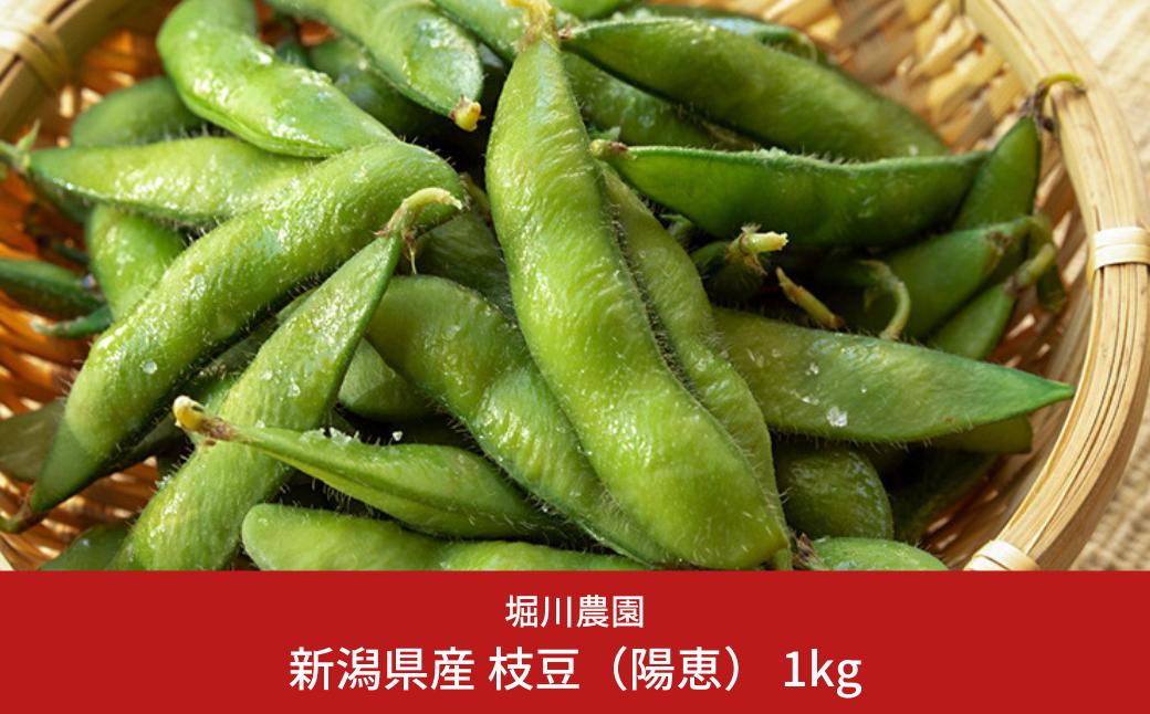 
                  【枝豆 先行予約】新潟県産 枝豆 1kg [2026年発送分 枝豆] 令和8年産枝豆 朝採りをお届け 枝豆（陽恵） [堀川農園]【010S136】
                