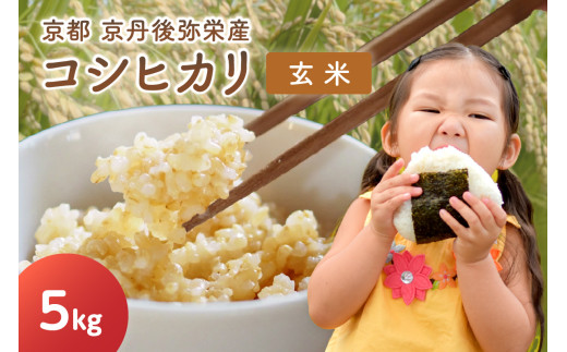 玄米 5kg【先行予約】丹後弥栄産コシヒカリ（玄米5kg） しんたにファーム　2026年産（令和8年産）2026年6月下旬～発送　NF00007