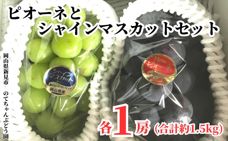 美味しいぶどう食べ比べ！新見のA級食材ピオーネとシャインマスカット、1房ずつ（合計約1.5kg）をお届けします