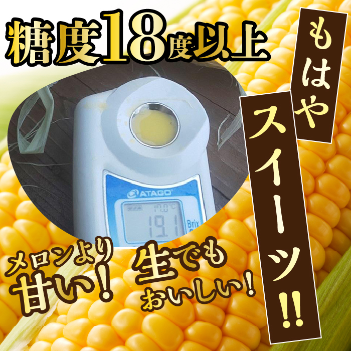 【2024年7月中旬より発送】【数量限定】【期間限定】メロンより甘い！生で美味しいとうもろこし富士恵味１０本セット FAH003