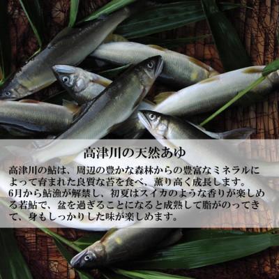 ふるさと納税 吉賀町 高津川天然あゆ冷凍　1200g(吉賀町) |  | 02