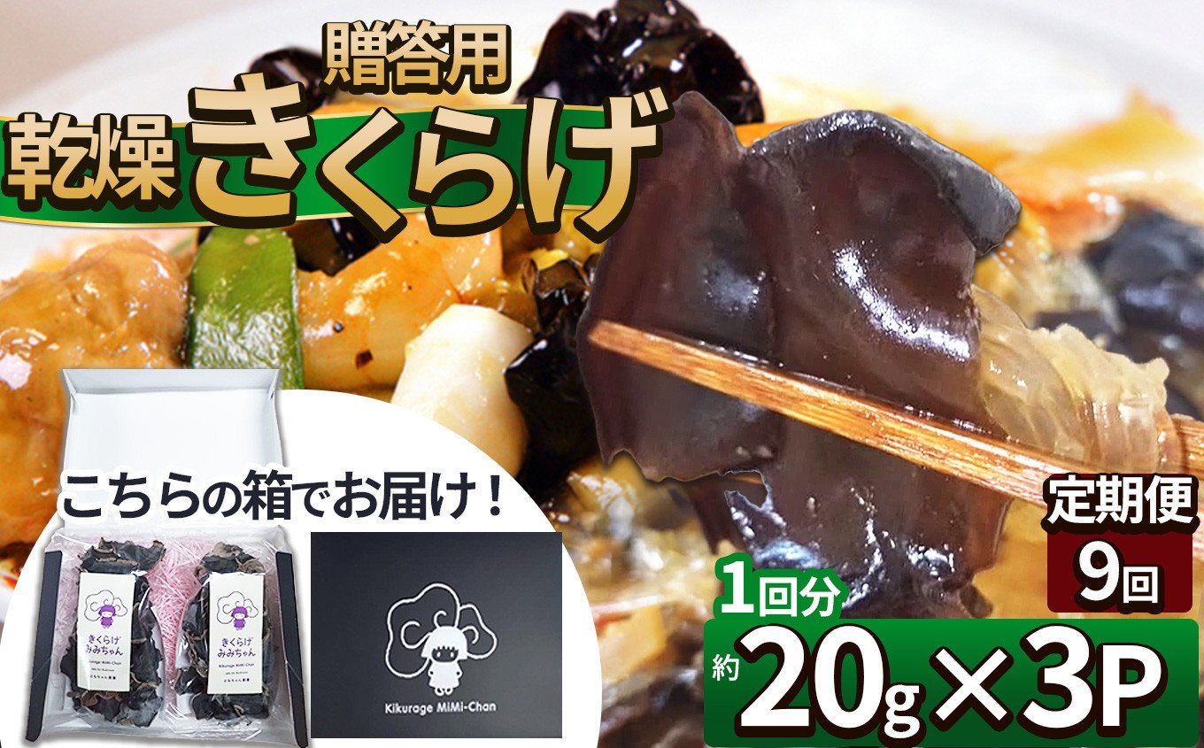 
            【定期便9回】贈答用乾燥きくらげ 20g×3P ともちゃん農園 |定期便 贈答用 乾燥 きくらげ 食物繊維 鉄分 カルシウム ビタミンD カリウム アミノ酸  高血圧予防 ふるさと 納税栃木県 那珂川町
          
