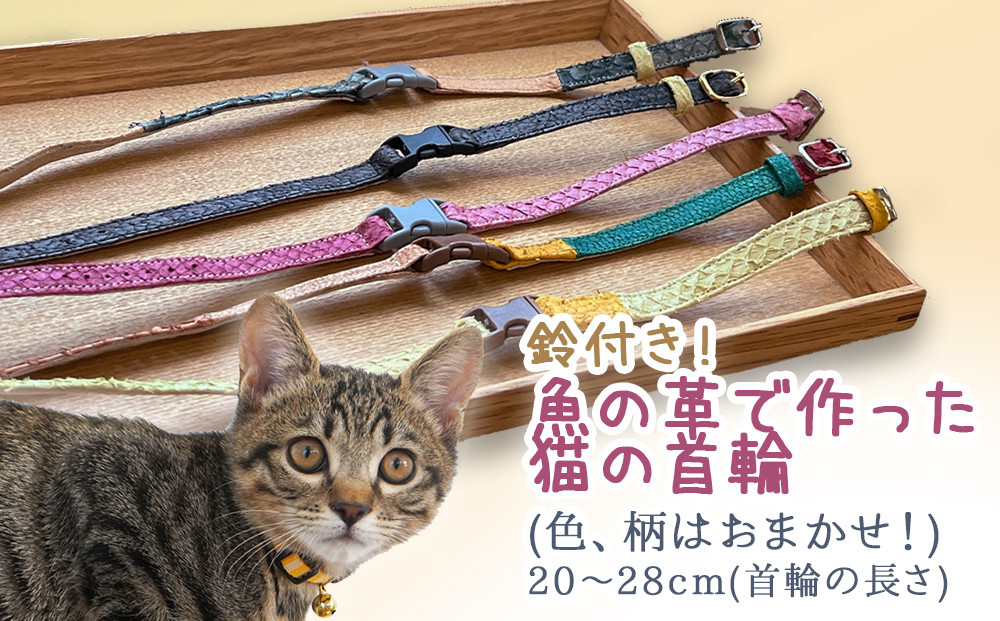 
                  鈴付き！魚の革で作った猫の首輪（色、柄はおまかせ！） 
                