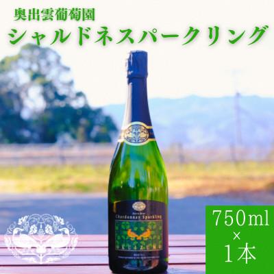 ふるさと納税 雲南市 シャルドネスパークリング(白ワイン 辛口) 750ml×1本