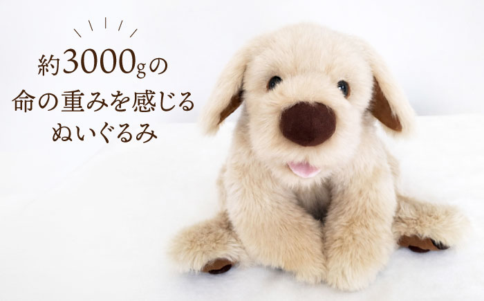 セラピー！？ロボット？「パトラン」（重たいぬいぐるみ）≪糸島市≫【科学工房未來】ぬいぐるみ/セラピー/犬/プレゼント [AYI001]