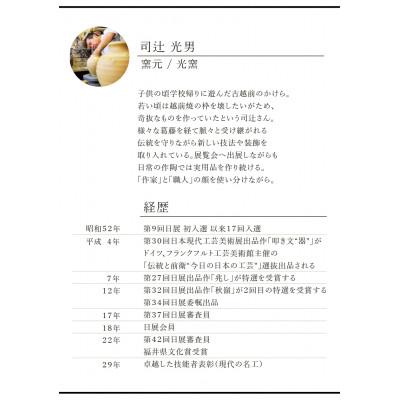 ふるさと納税 越前町 「光窯　司辻光男」【越前焼】ビアジョッキ 　 |  | 02