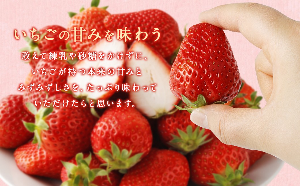 いちご「かおり野」プレミアム 約2.4kg＜300g×4パック＞2箱 計8パック