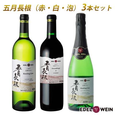 ふるさと納税 花巻市 五月長根(赤・白・泡) 3本セット
