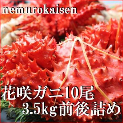 ふるさと納税 根室市 【北海道根室産】花咲ガニ10尾(計3.5kg前後) C-57052