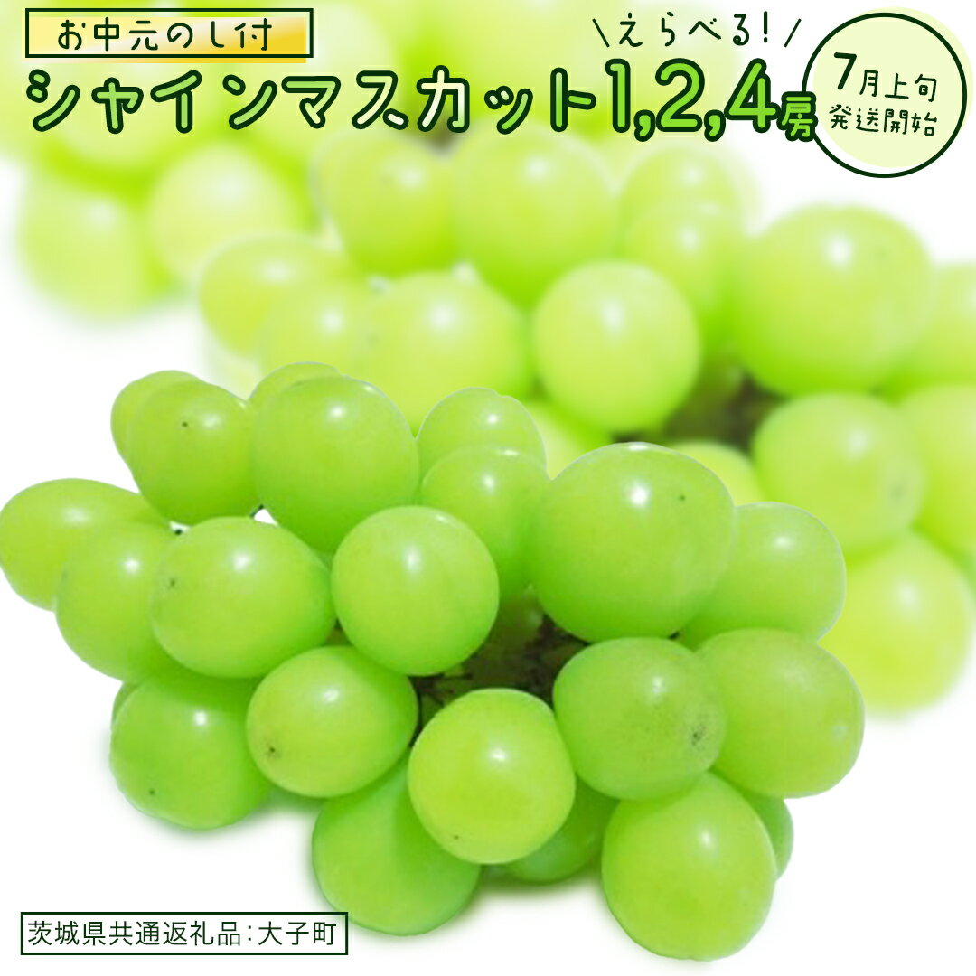 【ふるさと納税】【選べる房数】《 お中元 熨斗付き》 シャインマスカット 1房 2房 4房 【2026年7月上旬発送開始】(茨城県共通返礼品：大子町) ぶどう 葡萄 マスカット フルーツ 果物 贈答用 ギフト 贈り物