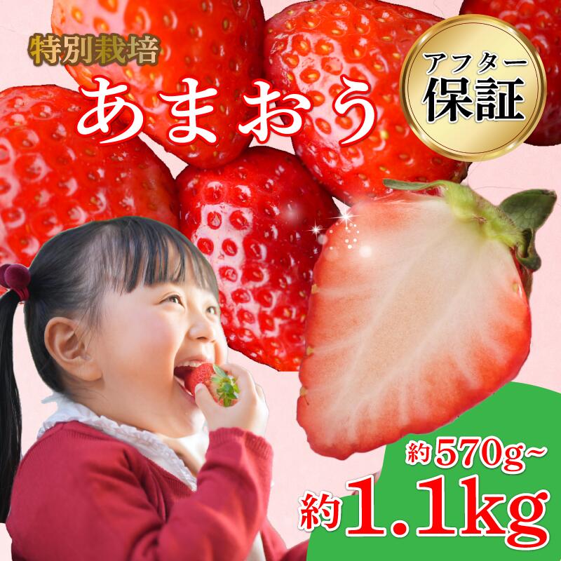 【ふるさと納税】 【2026年1-3月発送】 特別栽培 あまおう 約570g~1.14kg (約285g×2~4P) 冷蔵 小分け いちご 福岡県産 苺 あまおう 苺 果物 スイーツ 数量限定 期間限定 特別栽培 特産品 デザート フルーツ ふるさと納税あまおう【1月上旬より順次出荷】