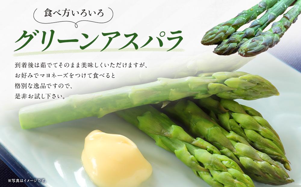 【先行予約】朝採り グリーンアスパラ L 1.3kg (2026年5月下旬発送開始) 【 アスパラ アスパラガス グリーンアスパラ 【先行予約】朝採り 直送 産地直送 旬 春 北海道 とれたて お取り