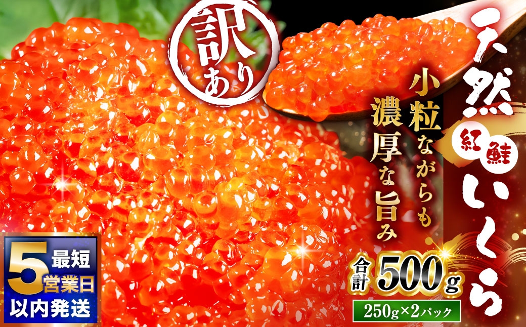 
                  【決済より5営業日程度で発送】  紅鮭いくら醤油漬け 500g（250g×2） いくら イクラ 訳あり 規格外 小分け 個包装 冷凍 海鮮 海鮮丼 いくら丼 イクラ丼 醤油いくら 訳アリ 人気 年末年始 パック 北海道 釧路市
                