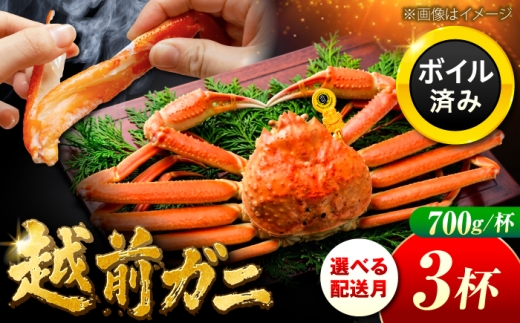【先行予約/11月7日より順次発送】越前がに 700ｇ×3杯 小浜市 / まるほ商店 【配送不可地域：北海道・沖縄・離島】[BFCS023-11]