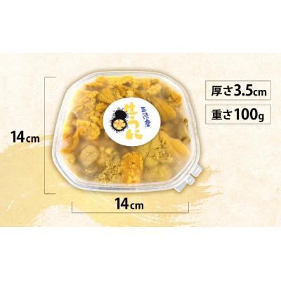 ふるさと納税 陸前高田市 【先行受付】 三陸産 生うに 100g 塩水パック 獲れたその日に出荷 ウニ 雲丹 天然 濃厚 旬 |  | 01