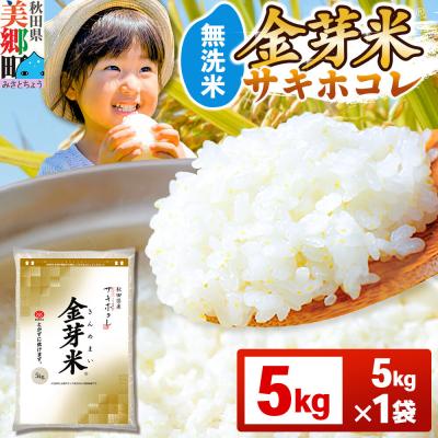 ふるさと納税 美郷町 令和7年産 金芽米 サキホコレ 5kg|01_tyr-010501