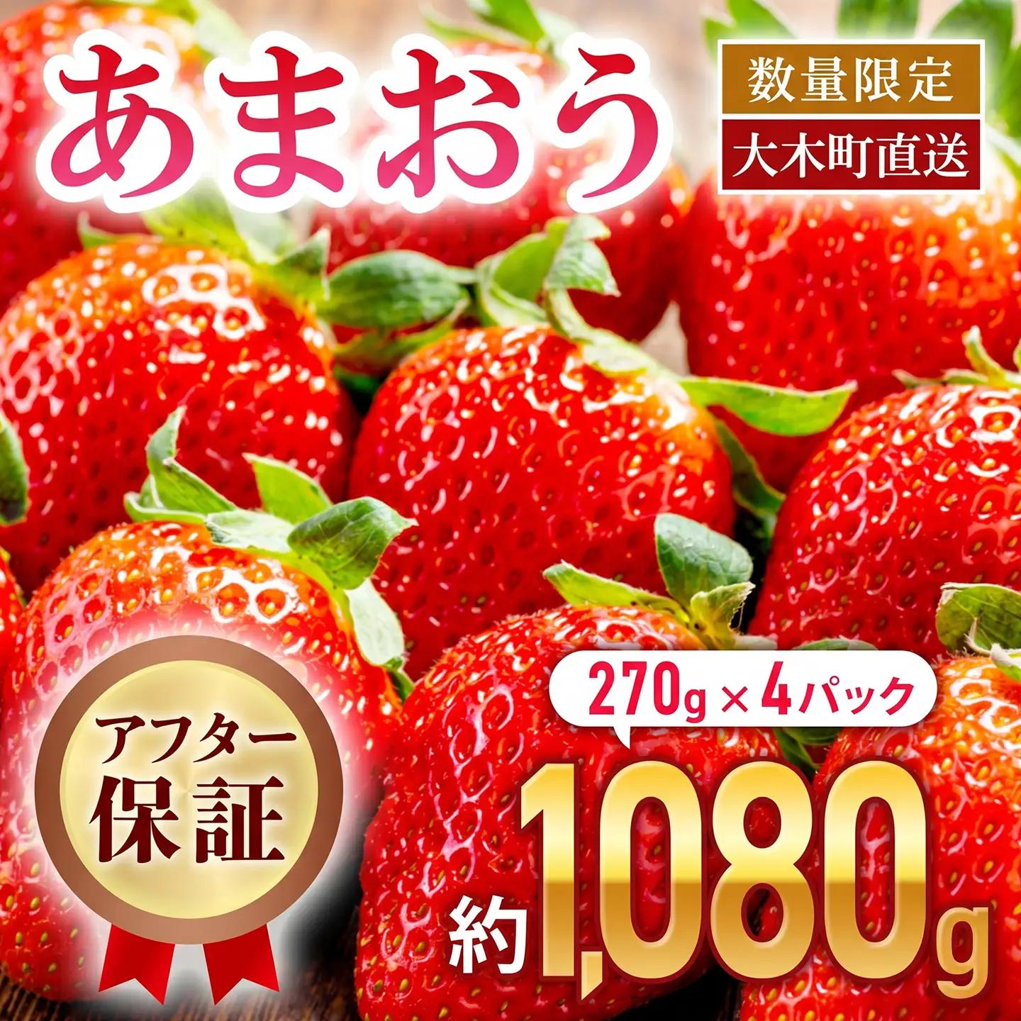 福岡育ちあまおういちご 約270g×4パック 合計1080g 【2023年2月下旬～3月発送】