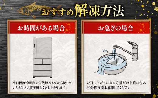 訳あり 塩さば フィーレ 約3kg 鯖 さば 塩鯖 トロ フィレ 切り身 切身 青魚 魚介類 魚 魚貝 魚介 魚貝類 水産 海の幸 海鮮 人気 冷凍 大容量 たっぷり 冷凍 おつまみ さけ おかず 惣菜 弁当 不揃い 規格外 訳有 傷 グルメ お取り寄せ 贈答 贈物 プレゼント 贈り物 バラ凍結 長期保存 ストック ギフト 小分け ふるさと納税 ふるさと納税鯖 送料無料 千葉県 銚子市 銚子東洋
