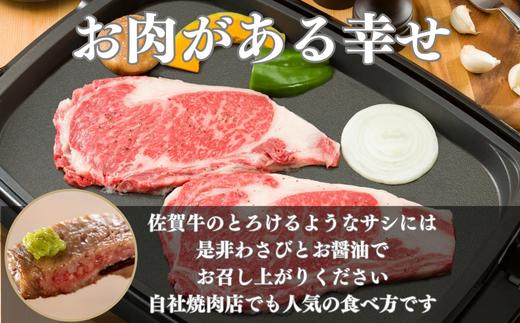 《A5～A4等級》 佐賀牛 ロースステーキ(サーロイン・リブロース) 約250g×2枚(合計約500g) 約3～4人前 全国屈指のブランド牛 牛肉 ステーキ ギフト 黒毛和牛 肉 冷凍 わけあり 「2