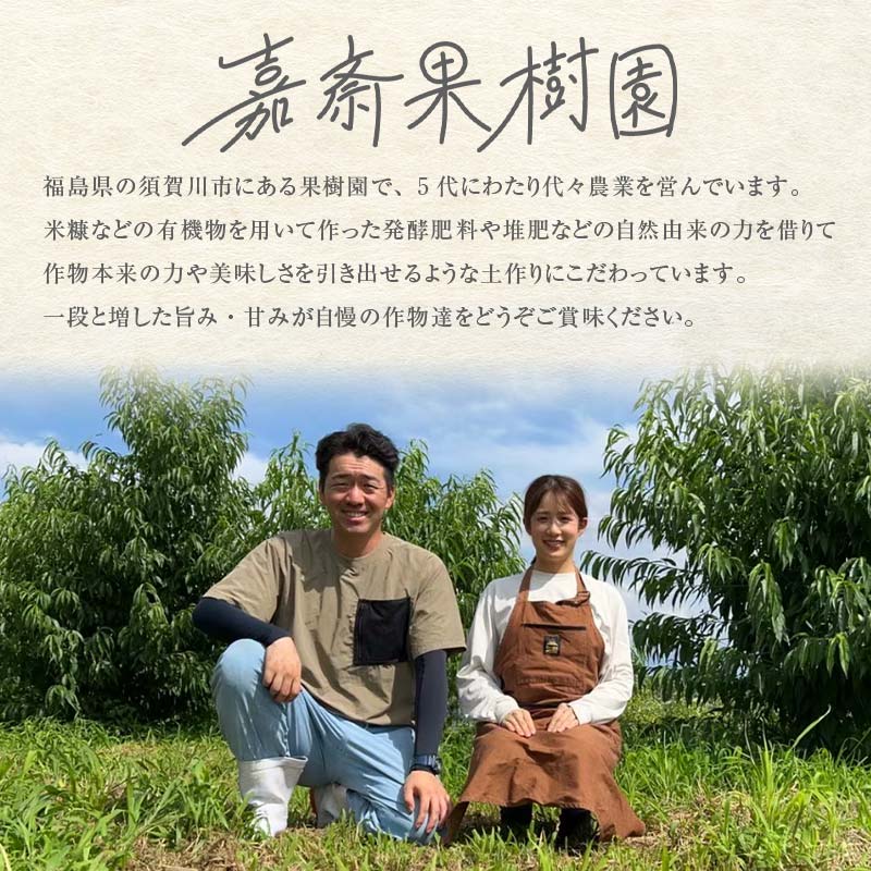<先行受付> 嘉斎果樹園の梨「豊水」約3kg(7~10個) なし