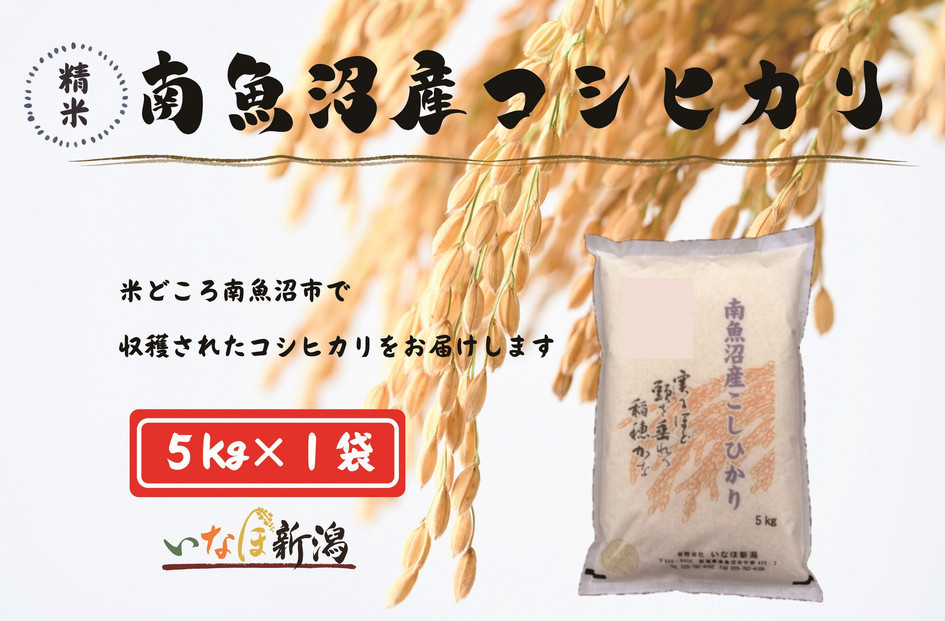 【令和7年度産新米予約】南魚沼産コシヒカリ 白米 5kg【2025年10月上旬より順次発送予定】