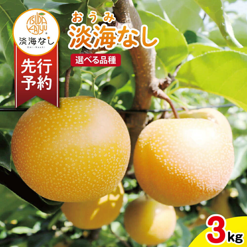 【ふるさと納税】【先行予約】 【数量限定】淡海なし 3kg 選べる 品種 6種類 箱入り（サイズ：2L〜7L　5〜10個入り） 御中元 お中元