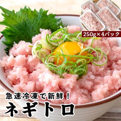 ふるさと納税 須崎市 手作りネギトロ　1kg