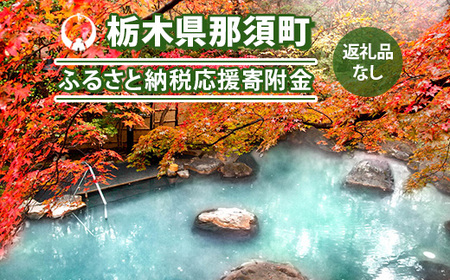 【返礼品なし】栃木県那須町ふるさと応援寄附金 10,000円