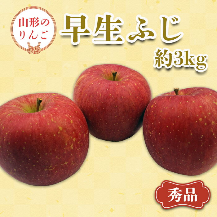 【ふるさと納税】【2025年9月〜10月発送分先行受付】「秀品」山形のりんご（早生ふじ）約3kg_H165(R7)