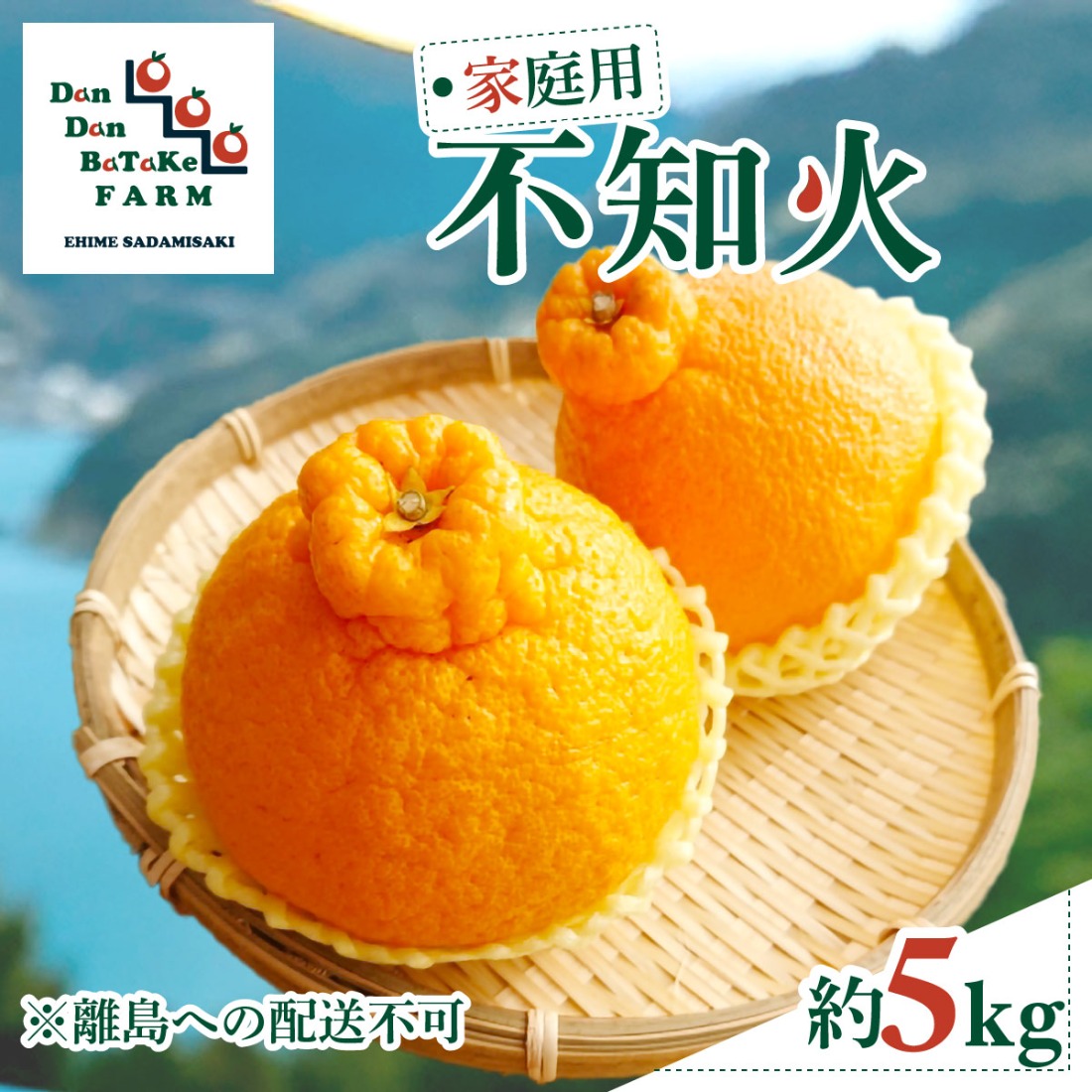 【先行予約】【家庭用】不知火 約5kg | 柑橘 みかん 果物 フルーツ 愛媛県産 農家直送　※離島への配送不可　※2027年2月下旬より順次発送予定 IKTAU008