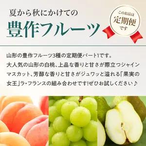 ≪先行受付≫ 【2026度年発送】山形豊作フルーツ人気Ａ【定期便全3回】 060-T02