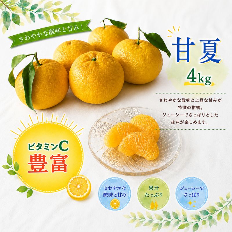【ふるさと納税】 ＜先行予約＞甘夏【秀品】4kg ※2027年4月上旬～5月中旬頃に順次発送予定【期間限定・数量限定】 / 柑橘 季節限定 お取り寄せ 産地直送 贈答品 ギフト 果物 フルーツ 田辺市 和歌山県